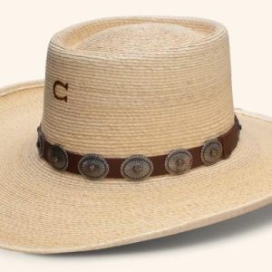 RHE HATCO HIGH DESERT CHARLIE 1 HORSE