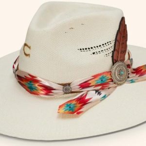 RHE HATCO NAVAJO CHARLIE 1 HORSE