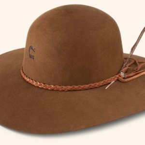 RHE HATCO WANDERLUST CHARLIE 1 HORSE