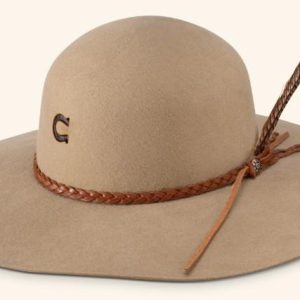 RHE HATCO WANDERLUST CHARLIE 1 HORSE