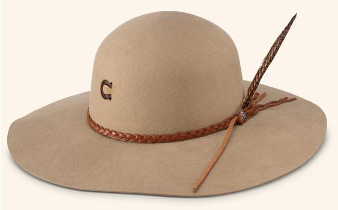 RHE HATCO WANDERLUST CHARLIE 1 HORSE